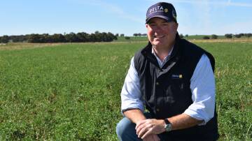 Lucerne Australia chairman Scott Hutchings expects 2024 harvest yields to be down 30 per cent to 40pc on last year's harvest. Picture by Catherine Miller