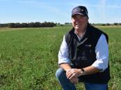 Lucerne Australia chairman Scott Hutchings expects 2024 harvest yields to be down 30 per cent to 40pc on last year's harvest. Picture by Catherine Miller