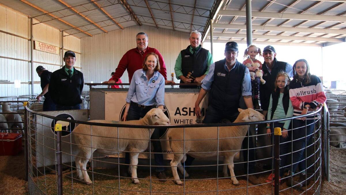 SIZZLING SALE: Ashmore stud's top rams lot 1 and lot 2 which made $23,000 and $13,200 with Nutrien's Glen Keast, Elders' Jason Kirk, Nutrien's Leo Redden,with Ashmore stud's Nette Fischer, Troy Fischer, Elke Fischer, Brian Fischer, Indigo Fischer and Isabelle Fischer. Photo: Jodie Day