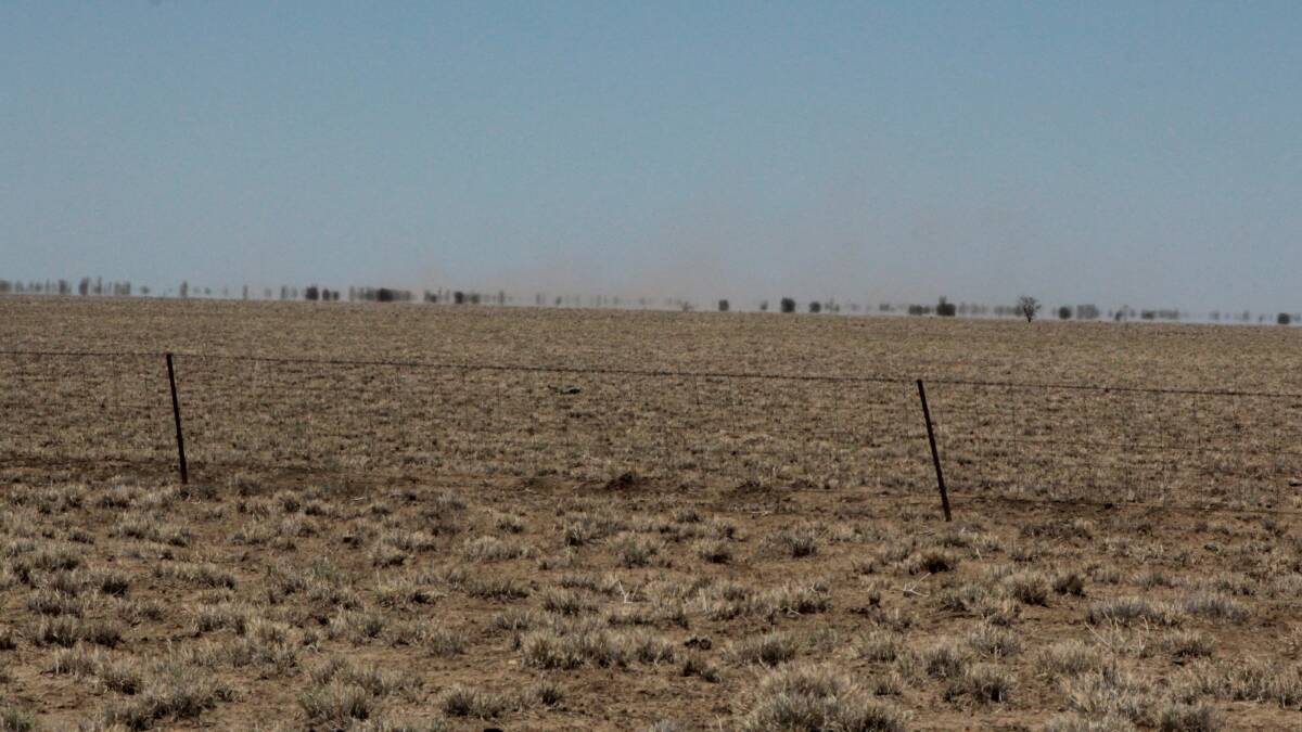 How drought has shifted the goalposts in cattle