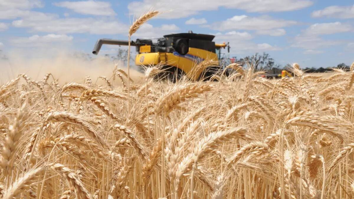 Applications are being sought for Grain Producers SA's new Young Grain Producers Committee. File picture