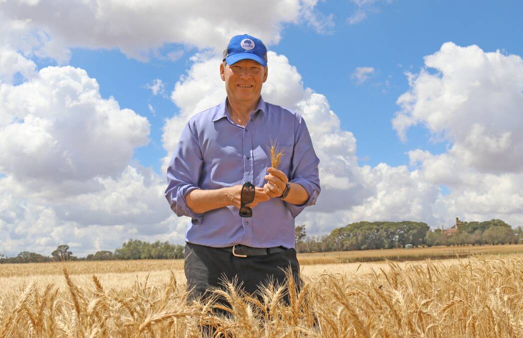 John Kirkegaard is leading a national team investigating the use of supplementary nutrients applied to stubble to build soil organic matter. Pictures by CSIRO 