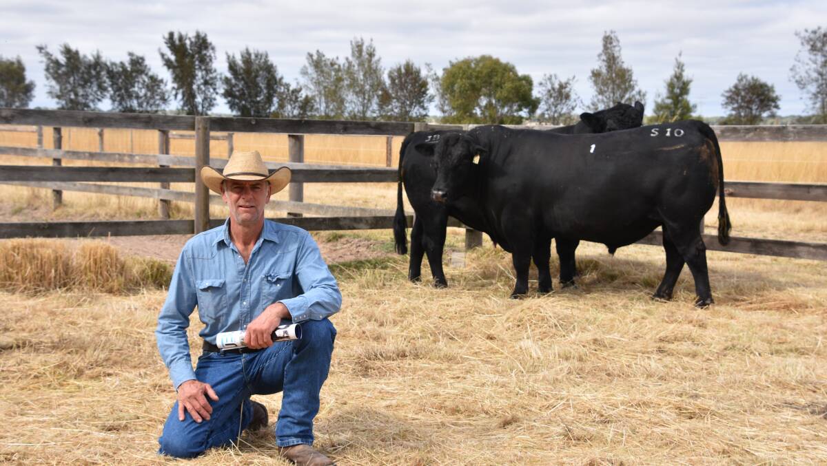 JB Angus stud principal Jock Hislop with $16,000 sale topper JB Stellar S10. Picture by Mark Scown