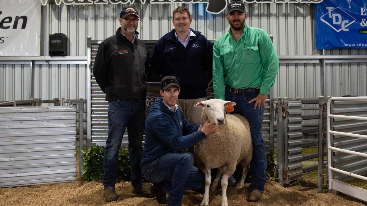 David Galpin and Jordan Galpin, Warrawindi, with TDC Penola's Matt Treglown and Nutrien's Cody Benson and the top price Border Leicester East Friesian-cross ram. Pictures supplied