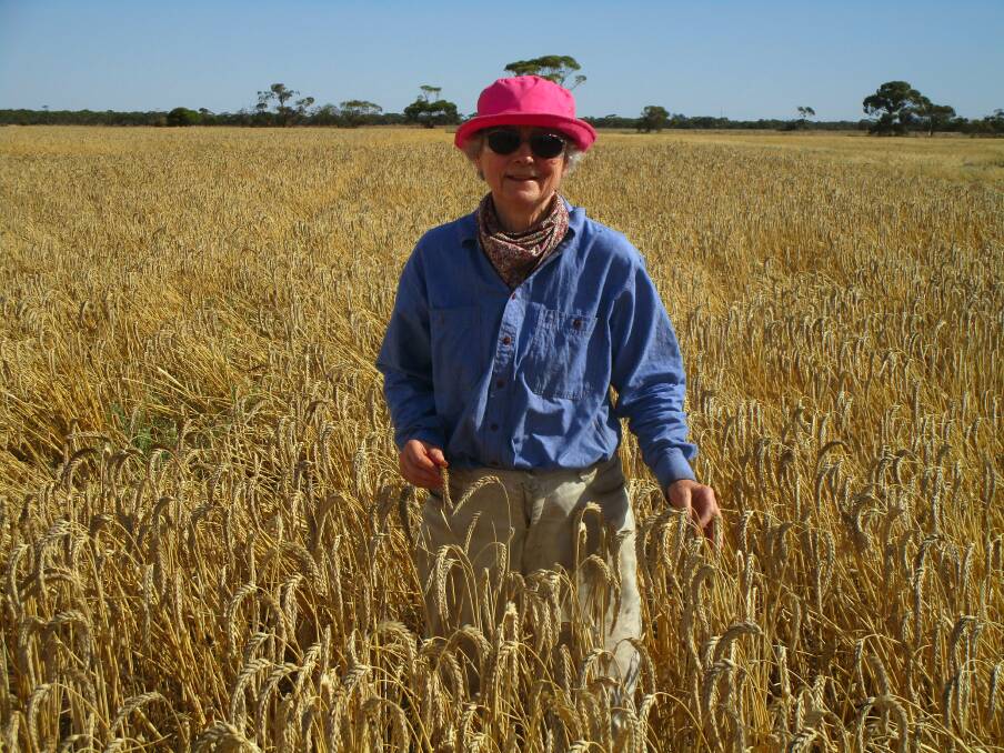 Kath Cooper, Sherlock, is releasing a new variety of triticale this year alongside her partner, Mike Elleway. Picture supplied. 