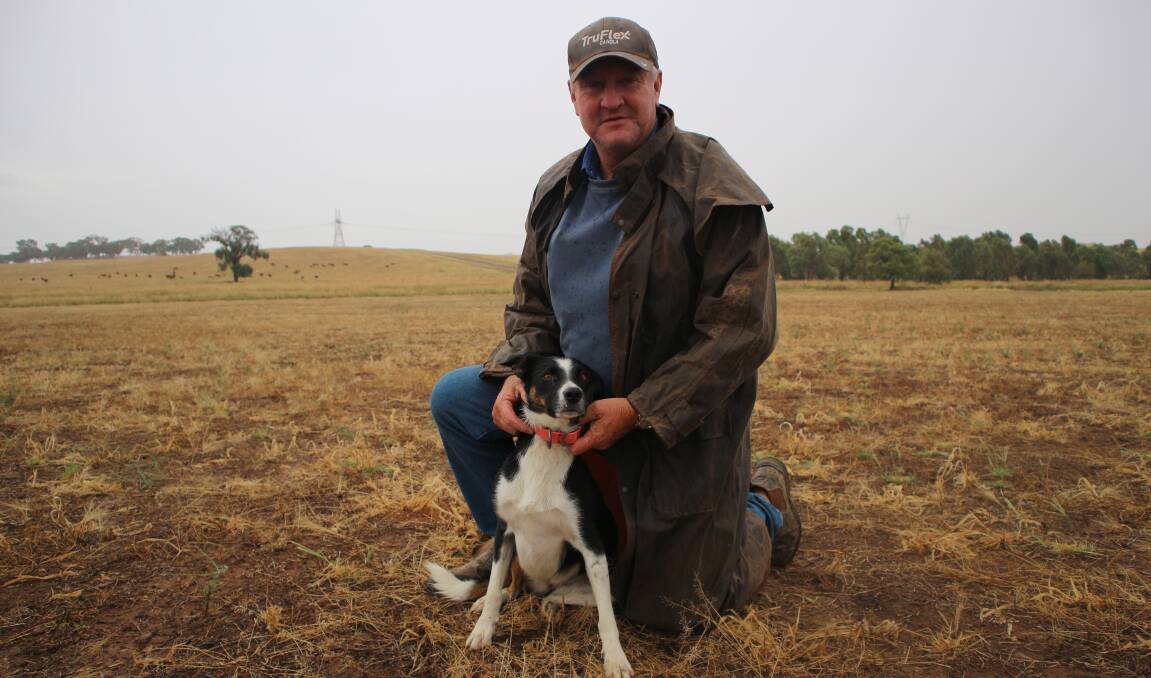 Maxwell farmer and agronomist Don Kirkpatrick with border collie Millie in a paddock ready to sow oats. Picture by Andrew Mangelsdorf