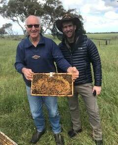 Leigh Duffield with professional beekeeper Itai Kanot from the United States, inspecting bee hives last year. Picture supplied 