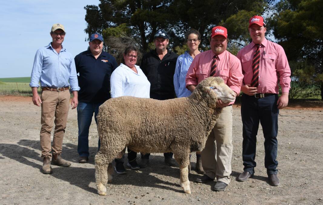 Nick Wadlow, Old Ashrose, Geoff Clarke, Platinum Wool Services, Maree and Dean Helliar, Drualat Bore Pastoral, Kate Wadlow, Old Ashrose, Elders' Michael Foster and Alastair Keller with the sale topper Old Ashrose PC0242. Picture by Conor Lamond