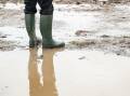 Farmers in the UK have been hit with the wettest 18 months in recent history. Picture supplied by National Farmers' Union (NFU)