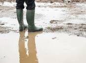 Farmers in the UK have been hit with the wettest 18 months in recent history. Picture supplied by National Farmers' Union (NFU)