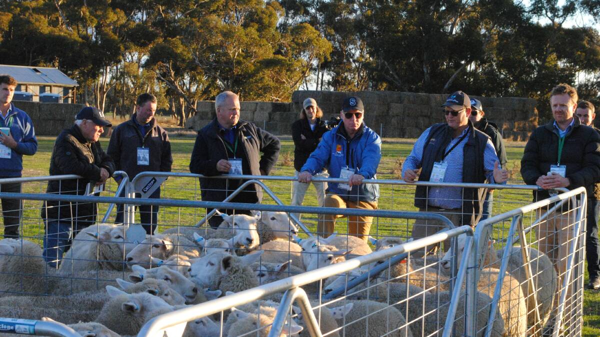 Tim Leeming, Precision Lambing, and Jason Trompf, Lambs Alive, advised farmers how to manage lambing ewe lambs at a Paraway Pastoral conference in Moyston last week. Picture by Barry Murphy 