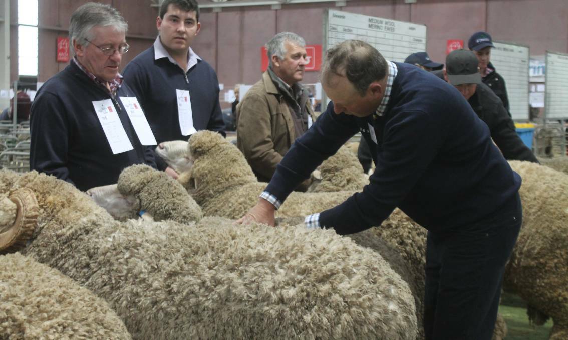 Deadline extended for entries to 141st sheep show Stock Journal SA