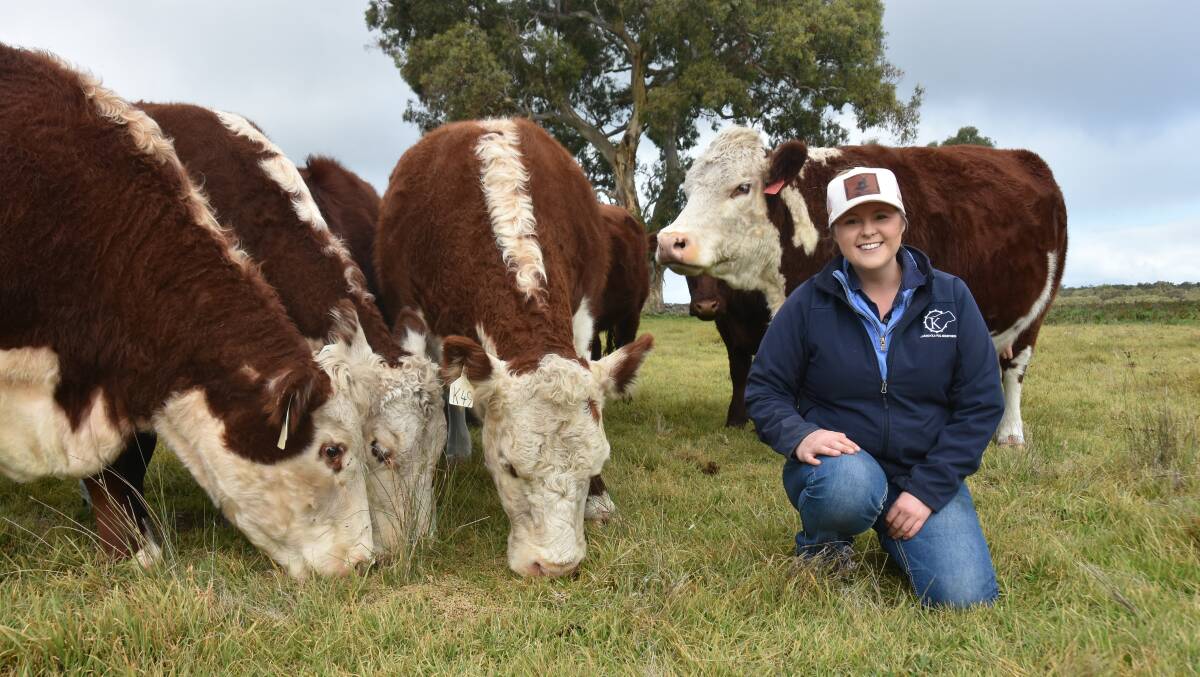 Georgie Beighton has six females in her Karmoola stud which are run on the aunt and uncle's Avenue Range property. Picture by Catherine Miller