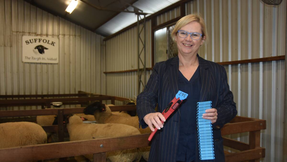 Primary Industries Minister Clare Scriven has announced a mandatory start date for SA processors reading eID tags as January 1, 2025, and six months later for saleyards. File picture by Catherine Miller