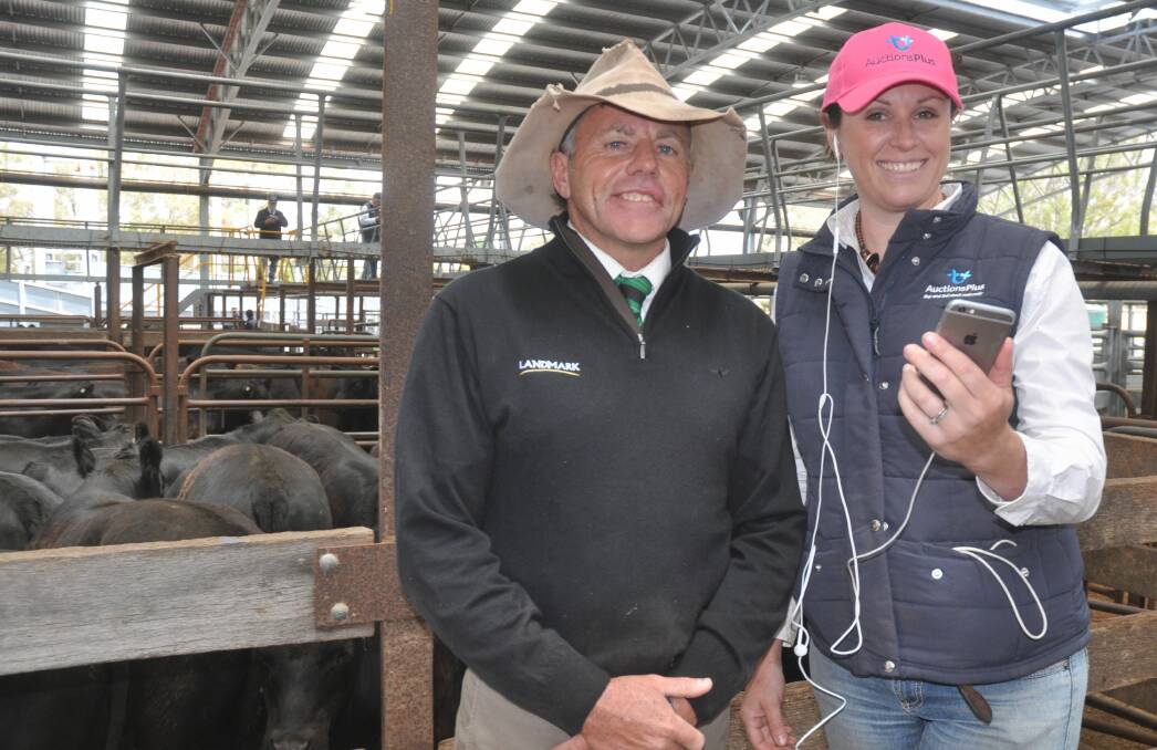 TECH SAVVY: Landmark Naracoorte livestock manager Brendan Fitzgerald with AuctionsPlus market operator Anna Adams at the Naracoorte weaner sale.