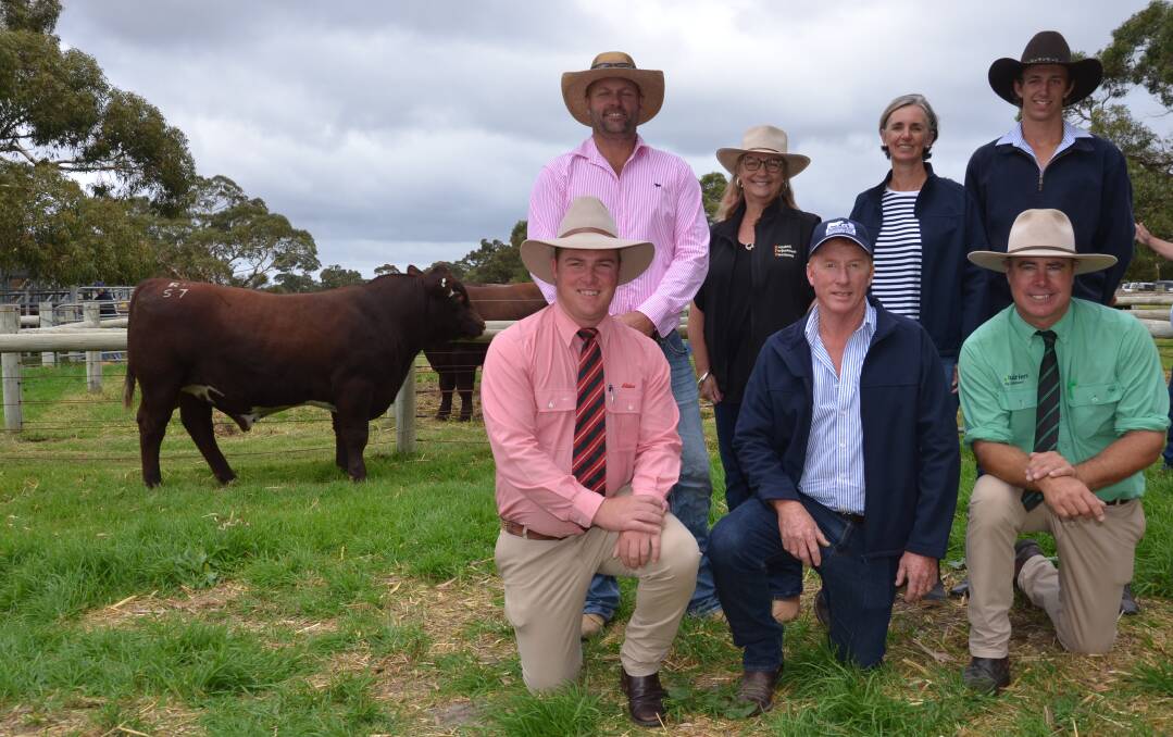 Ronelle Park stud's Trent and Janelle Johnstone with the $42,000 sale topper which sold to Bayview stud's Anissa, Luke and Chris Thompson (kneeling middle) Also pictured is Alistair Keller and Richard Miller. Pictures by Catherine Miller