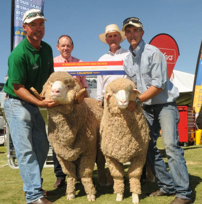 BACK-TO-BACK: Greenfields stud's Robert Sullivan, Hallett, and Tom Wiech (front) hold the winning Merino pair being sashed by Elders national livestock manager Chris Howie and judge John Carter, Wallaloo Park, Marnoo, Vic.