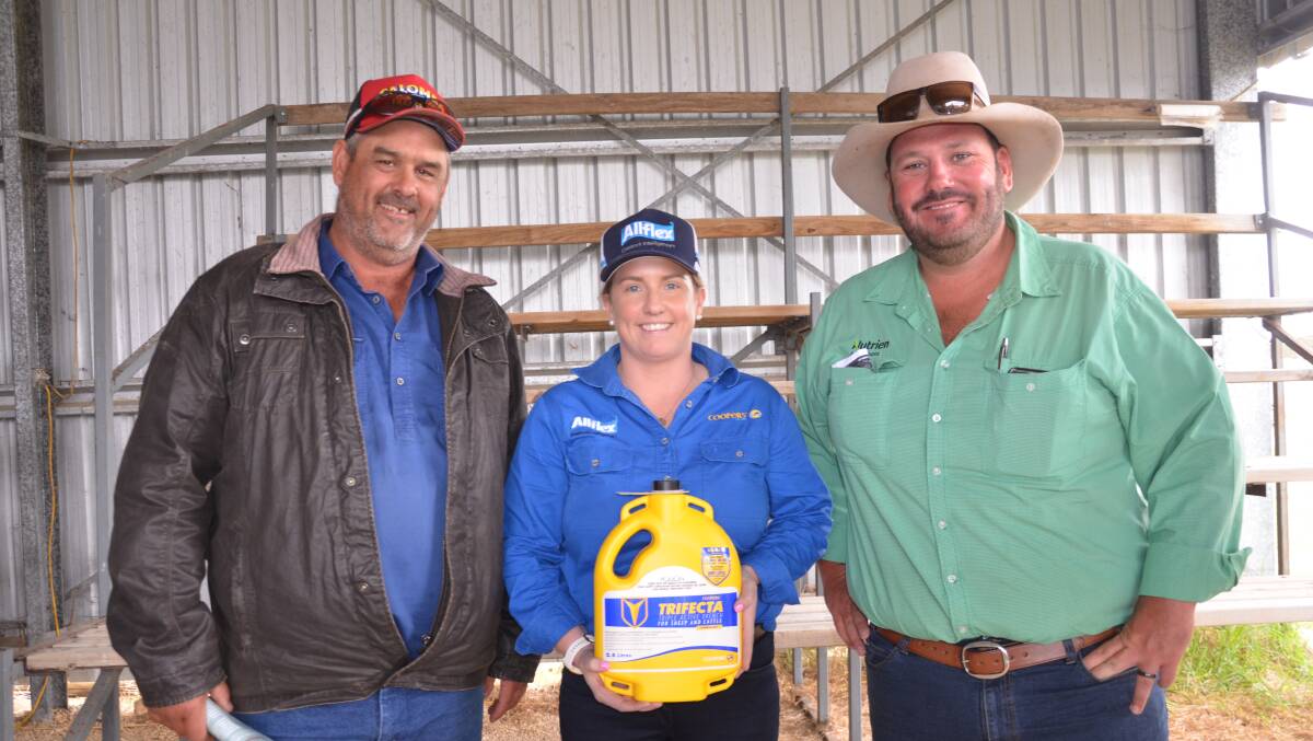 Volume buyer Shane Nicolle, Mulga Park Pastoral via Alice Springs and his agent Nutrien Port Augusta's Cameron Paul (right) with Coopers Animal Health rep Stacey Lehmann.