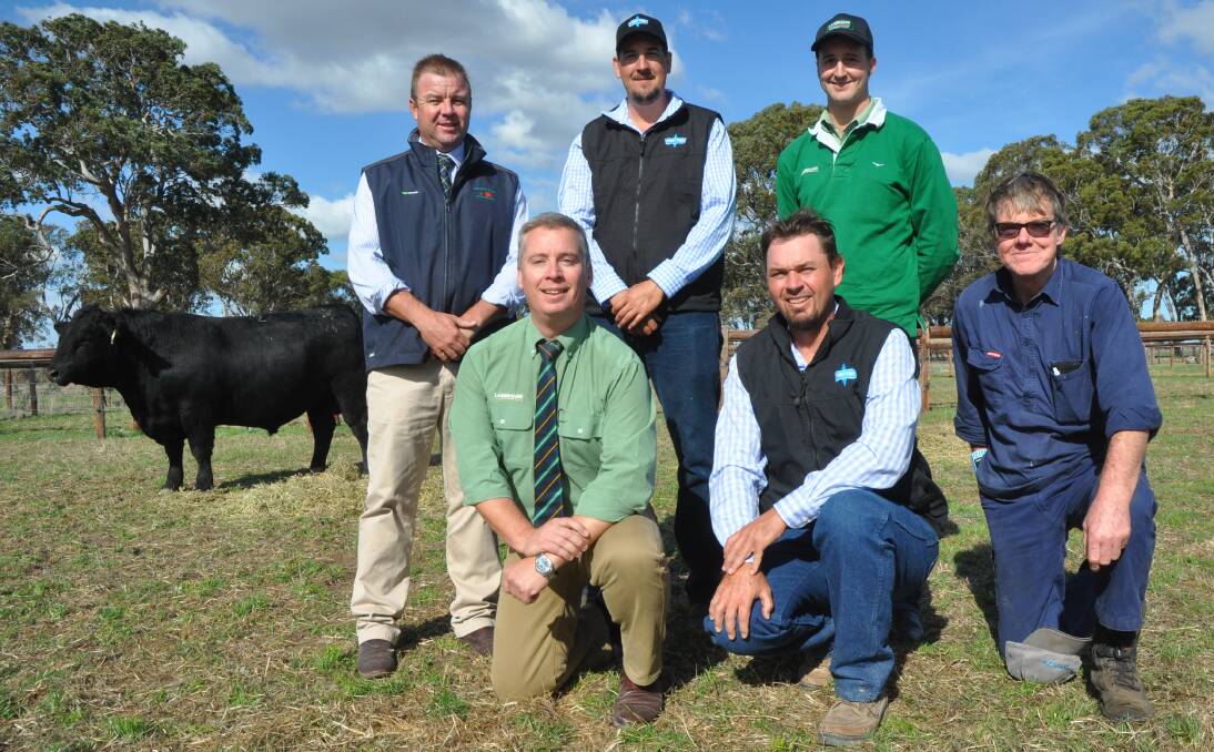 EQUAL TOP: Spence Dix & Co's Jonathan Spence and Landmark's Gordon Wood with Stoney Point's Peter Colliver and John Gommers, and Landmark's Nick Heffernan, with Brian Ling, Mount Benson, who bought lot two at $5500.