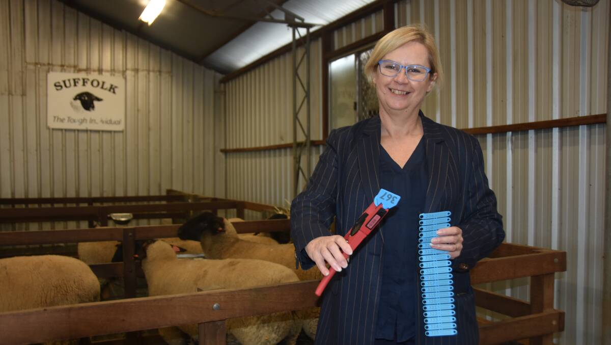 From today, October 5 Primary Industries Minister Clare Scriven says producers who purchased eligible eID tags will be able to apply for a rebate on the tags capped at 95 cents a tag. Picture by Catherine Miller