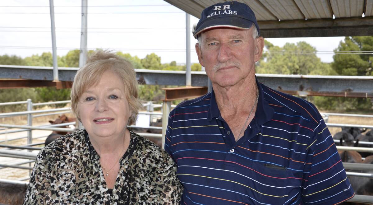 GOOD TIMES: Helen and Howard Bennett, Delamere, sold 19 Angus steers, eight months, to $1130 at the December Strathalbyn sale.
 