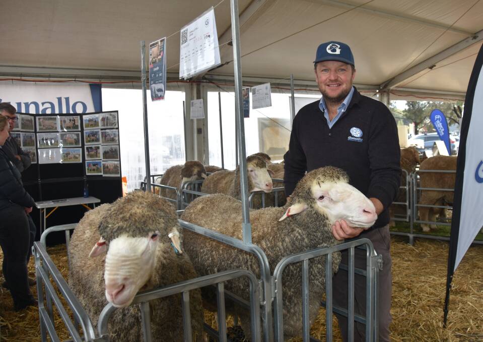 Gunallo stud's Brad Schroeder, Panitya, Vic, was pleased with the enquiry at the Australian Sheep & Wool Show in Bendigo, Vic, for the rams they have reserved for the Classings Classic sale and Adelaide ram sale. Picture by Elizabeth Anderson.