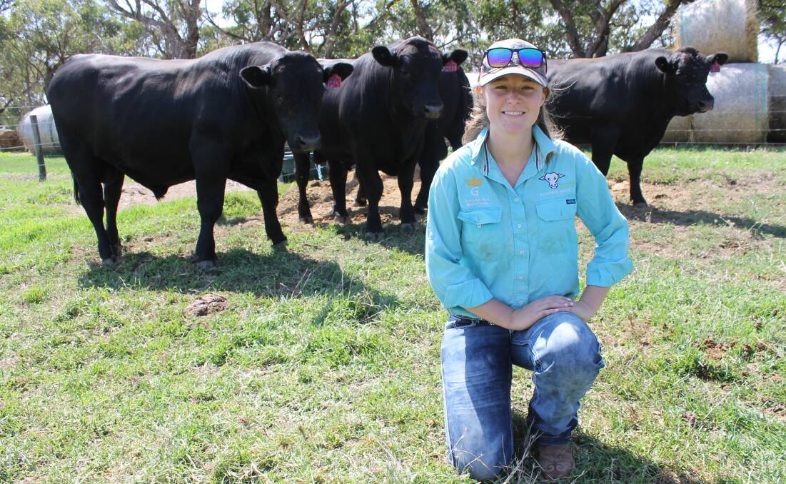 BoonARKM stud's Annie Boon, Mount Magnificent, with some of the sale bulls at their 2020 Stock Journal Beef Week field day. Stock Journal file photo