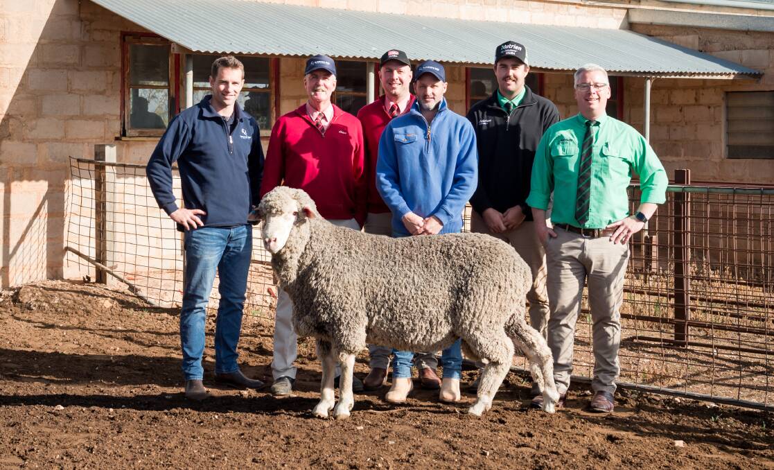 Karawatha Park stud's Dion Woolford, Elders' Tom Penna and Dylan Jaggy, top price buyer Shannan Larwood and Nutrien's Locky Crabb and Gordon Wood with the $7000 top price ram. Picture by Jade Norwood