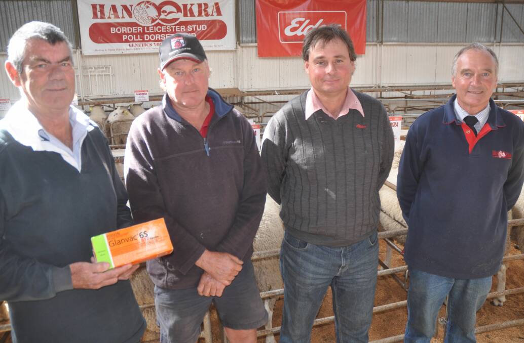 BIG ORDER: Zoetis sales rep Gary Glasson presents Anthony Foster, Bool Lagoon, with a pack of Glanvac vaccine. He is with Elders Naracoorte's Scott Richards and Hanookra stud's Rodney Willmott.