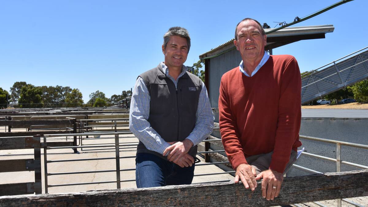 Livestock SA chief executive officer Travis Tobin and SA Sheep & Goat Traceability steering committee chair Peter Treloar at the Naracoorte Regional Livestock Exchange during some recent consultation. Picture by Catherine Miller