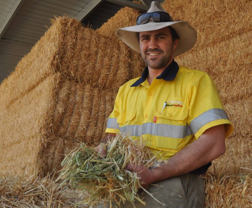 QUALITY HAY: Ryan Smart, Akeringa, Keith says despite receiving only 185mm of growing season rain - the lowest on record - their hay yields have been close to average with good quality.
 