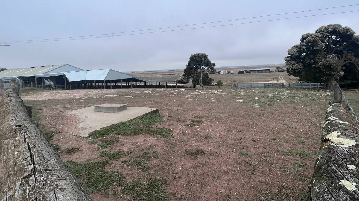 The Snuggery's yards and shearing shed which will be among the images shown to consumers on Fields knitwear's social media.