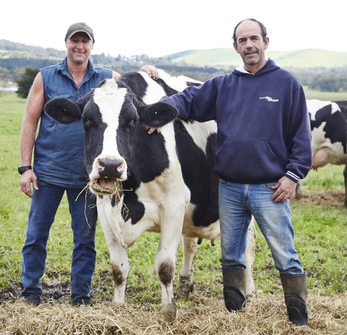 SALES SURGE: Myponga dairyfarmers Geoffrey Hutchinson and Barry Clarke are ecstatic at the public support being shown for their Fleurieu Milk Company products. In the past three weeks they have seen a 30 per cent lift in sales.