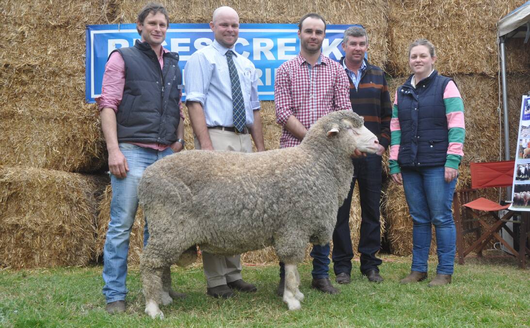 TOP BUY: Ryan and Mark (holding the ram) Vandeleur, Rices Creek, Tintinara with Spence Dix & Co auctioneer Luke Schreiber and buyers of the $5200 top-priced ram Peter and Shevahn Glynn, Glynnard Props, Riverton.