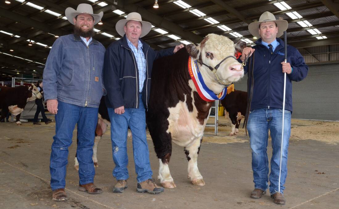 SA BEST: Tom Nixon, Devon Court, and Jack Smith, Cascade, bought the $47,000 Dubbo, NSW, sale topper Allendale Washington K5, held by Alastair Day, Bordertown.