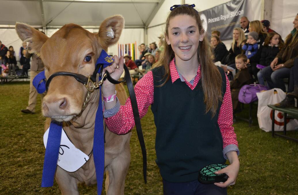 YOUNG BELLE: Breah Marston, Echunga, with her winning four-month-old Limousin heifer Bre-Li Park Fifi Mae.