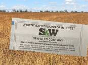 S&W Seed Company is looking for a new buyer after placing itself in voluntary administration this week. This has left growers still waiting for payments concerned. 