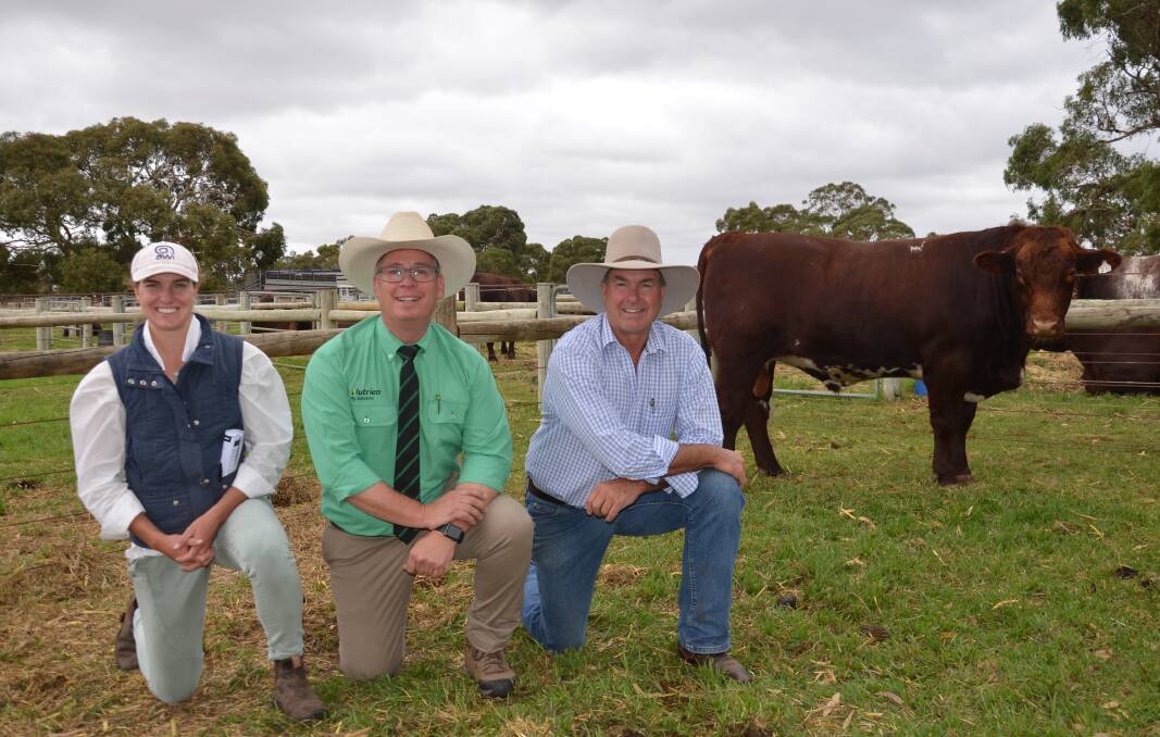 Bundaleer stud's Sophie and Matt Ashby, Gulnare and Nutrien's Gordon Wood with their $24,000 bull which sold to Frankland River Grazing, WA.