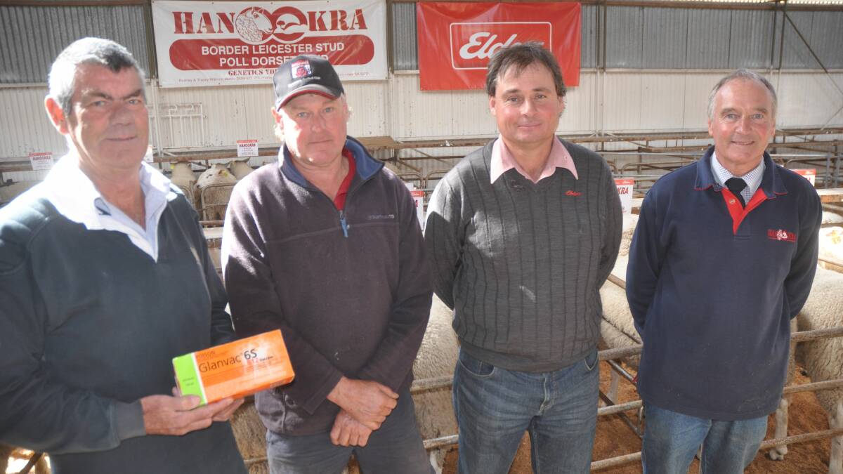 Zoetis sales rep Gary Glasson presents Anthony Foster, Bool Lagoon with a pack of Glanvac vaccine for being the volume buyer with five rams for a $1180 average. They are with Elders Naracoorte's Scott Richards and Hanookra stud principal Rodney Willmott.