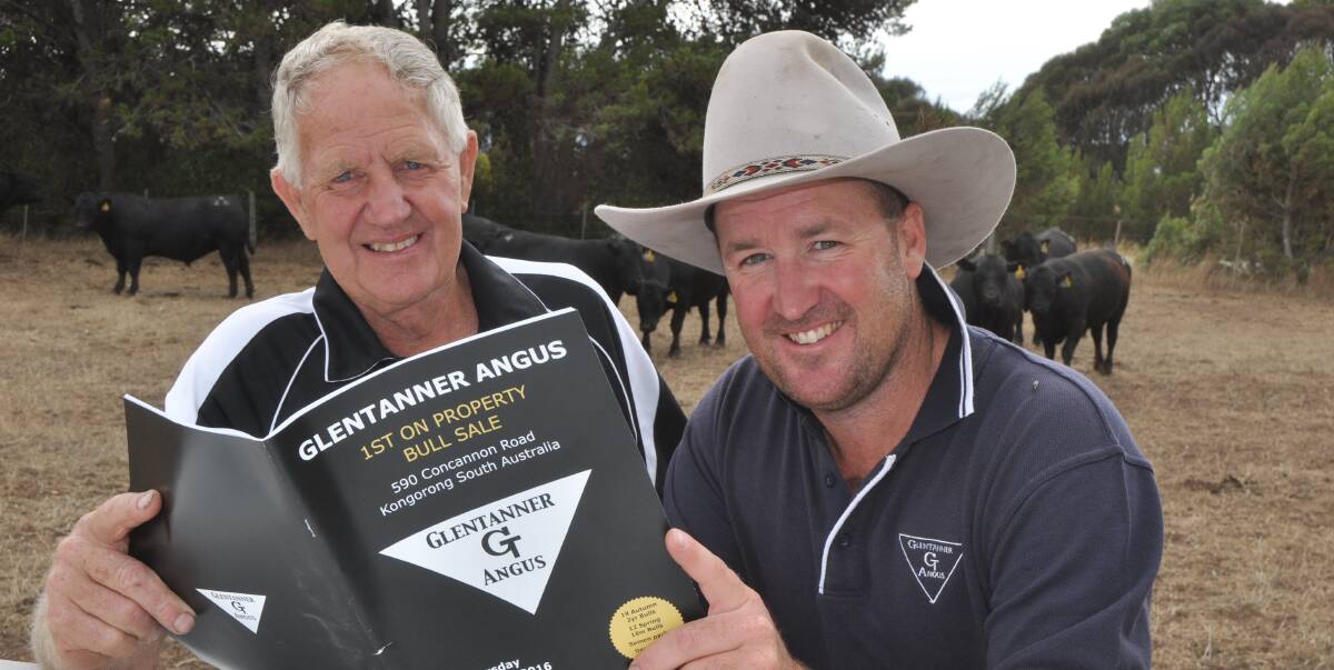 DEBUT SALE: Allan and Brad Lucas, Glentanner Angus stud, Kongorong, are excited about holding their first bull sale on February 11, when they will offer 20 autumn 2015-drop and 10 spring-drop bulls.