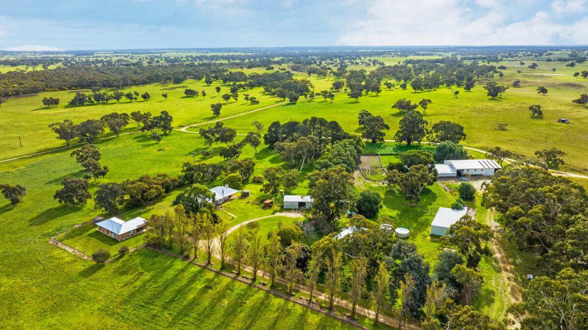 Big grazing farm sale in South East: six farms rolled into one