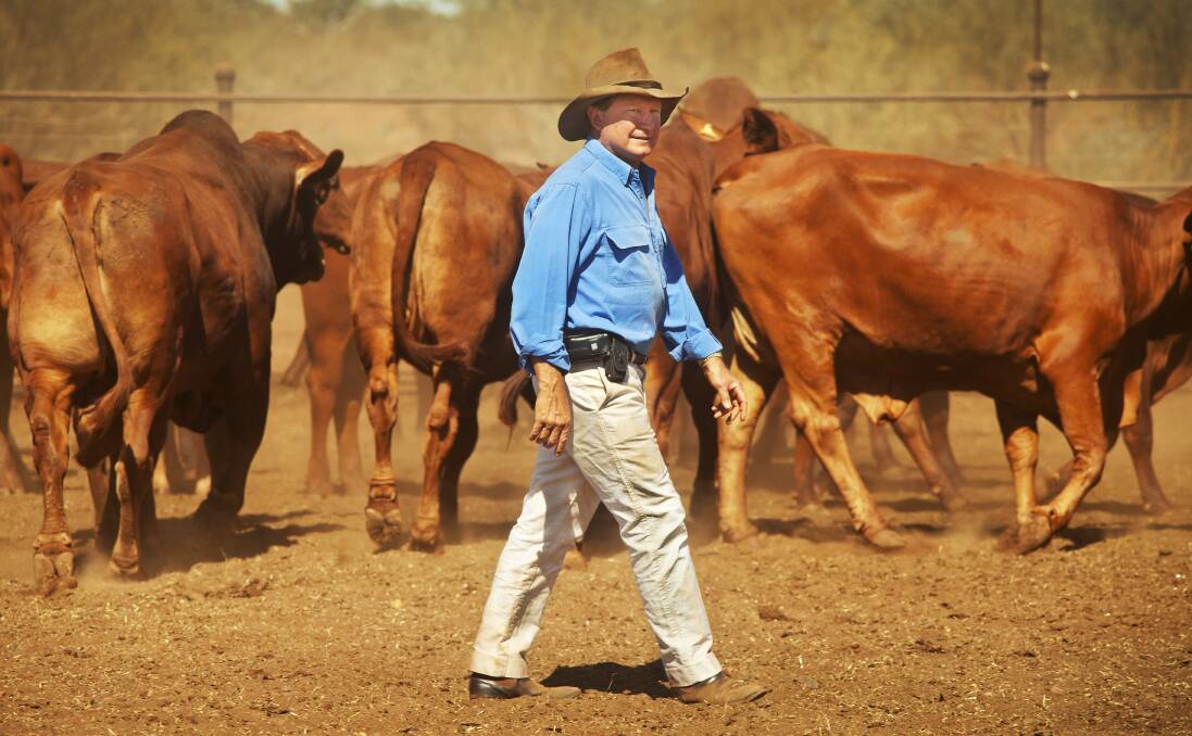 Andrew Forrest already owns several cattle stations and is now showing interest in the nation's largest beef producer. 
