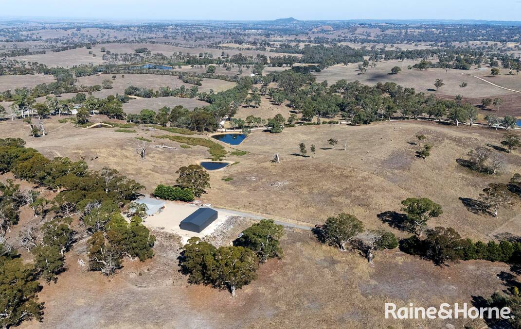 A new shed has been built on this tidy farm less than an hour from Adelaide. Pictures and video from Raine and Horne.