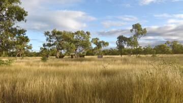 One of the Ray Scott Pastoral Company properties. Picture from Elders..