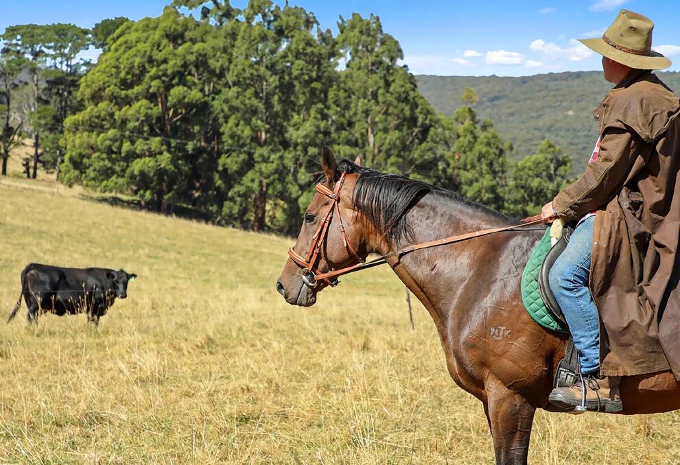A rider on horseback helped capture the appeal of this high rainfall grazing block in the Baw Baw Ranges of Gippsland. Pictures from Ray White.
