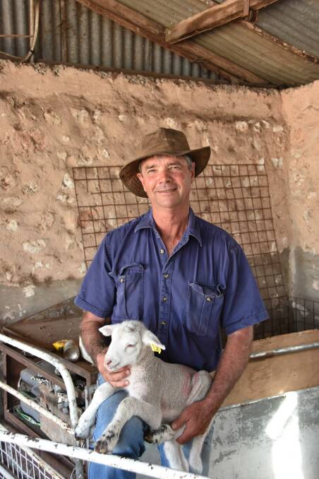 Allan Piggott is the principal of Illoura Sheep Studs, Tailem Bend.