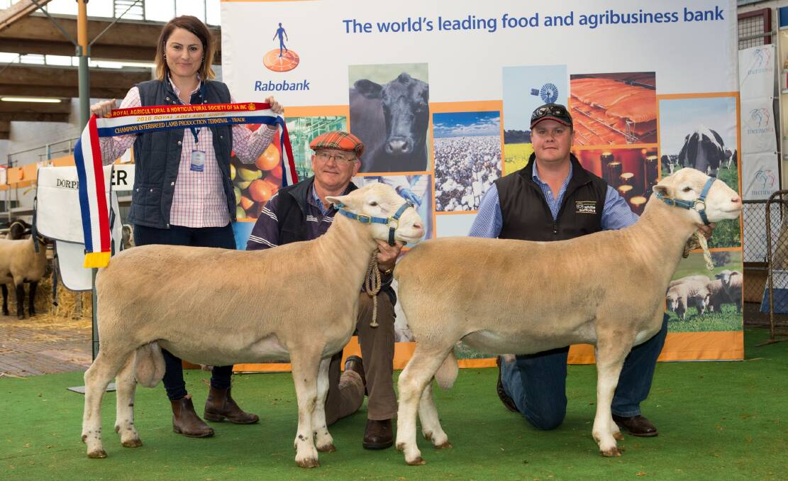 TOP TRADES: Stock Journal's Alisha Fogden with the interbreed - trade section winners from Newbold stud, held by Bill Close and Craig McLachlan, Gawler River. 