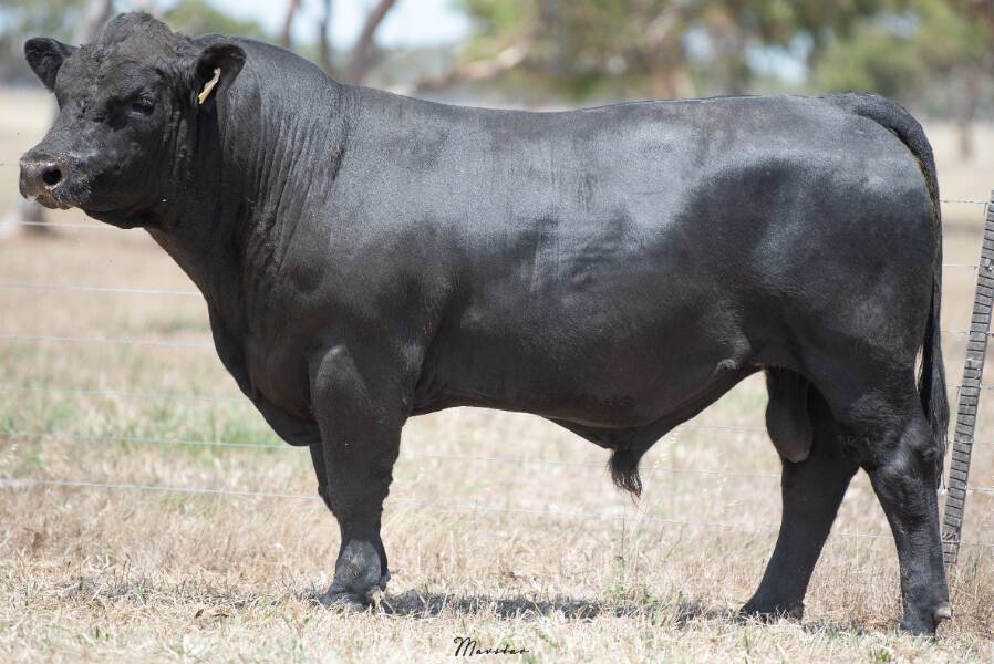 Lot 3 sold for the sale top of $9500.