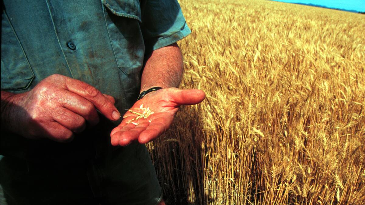 CROP INCREASE: ABARES predicts Australia’s winter crop to increase by two per cent in 2015-16 to 39.1 million tonnes.