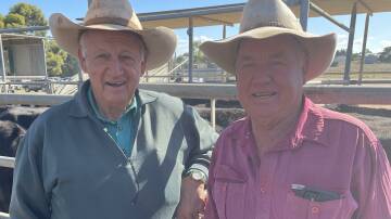 Kelly Evans, Nutrien Balaklava, bought heifers to join for a client. He's with Dale Hughes, Dublin. 
